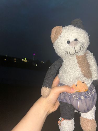 最近推しに貢ぎすぎていて
少し怒っている様子のチャーミーさん
昨日は推し様の誕生日だったから
また推しぬい買ってしまった🥹
チャーミーさんにも貢がなきゃねっ😚