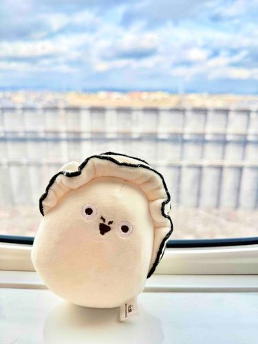 牡蠣と新幹線🚄🦪
おでかけ楽しいね