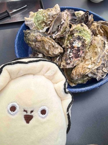 カキ太郎と牡蠣🦪
おいしいね🤤