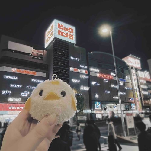 昨日手に入れた小さき命