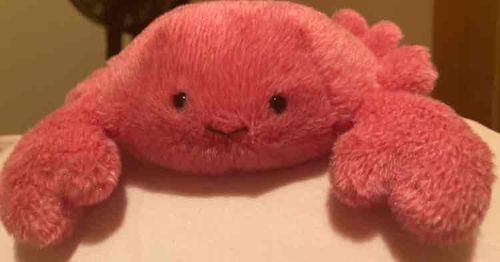 かにかも 3さい えびかに坂にすんでいるの
たくさんの おともだちを つくりたいかも 