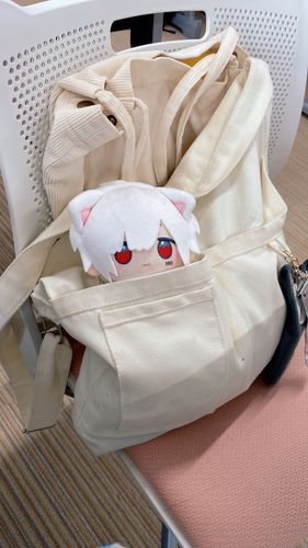 がっこうついてきた