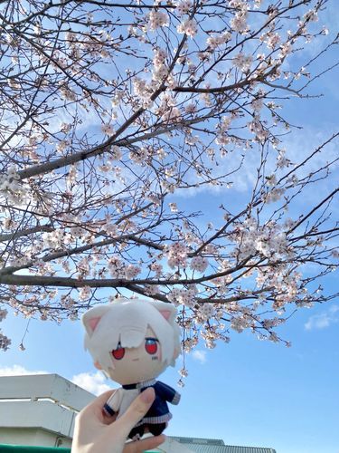 さくらさいてた