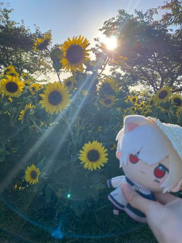 なつだね