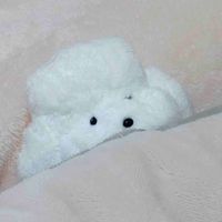トムくん