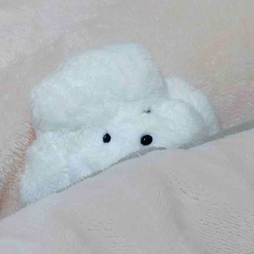 テペソさんのトムくん。だいじすぎてあまり連れ歩けませんが、日記です。