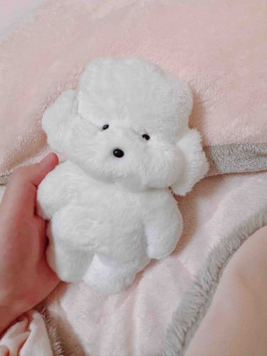 トムくん、今日もおだやかにおはよう。ふわもこのみなさんも、今日もやさしい一日でありますように。