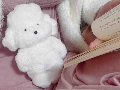 読書中も傍らにいてくれるトムくん。読めるかな？トムくんがおうちに来てから、読むもの見るものも優しいコンテンツが多くなりました。