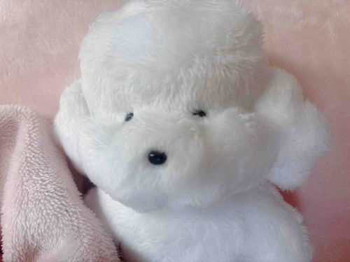 まいにち、まいにち、なんてかわいい寝顔なんだろう…と暫く見つめてからトムくんを起こしています。