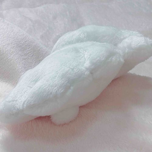朝の光をヘソ天で全身に浴びるトムくん。どこか神々しささえ感じます…