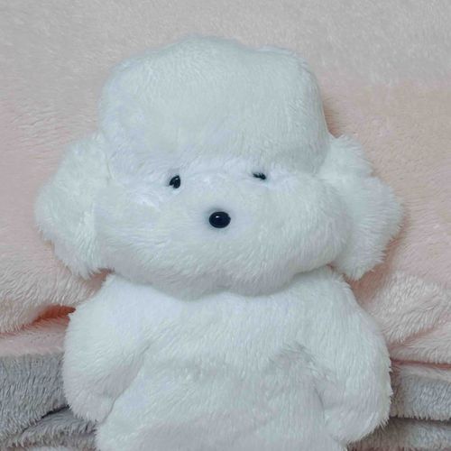 トムくんは手作りぬいぐるみなので、おむかえしたとき、「この子はちょっと情けない顔をしていますが…」って言いながら作者さんにお渡ししていただいた。最初は両目ともしょぼしょぼしてたのに、もちぬしの撫で癖のせいか、なんだかウインクしてるみたいになってきちゃったね…
😉←トムくんと同じ顔