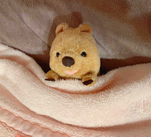 今日は夜ふかしするの🌙