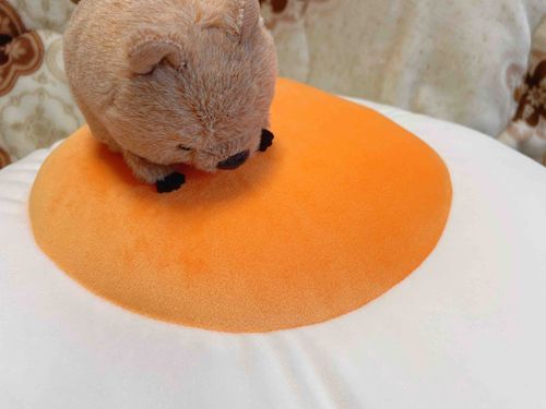 大きいめだまやき🍳