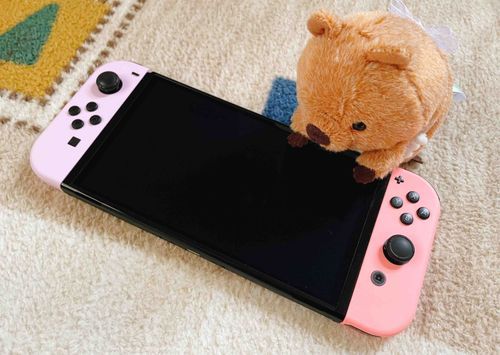 主、さいきんゲームはまってるらし🎮
みたらしもやってみたい