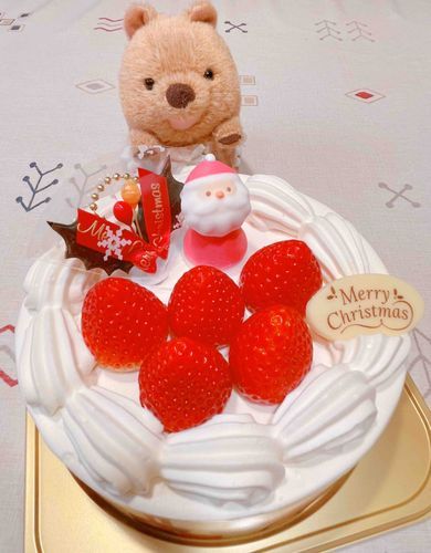 めりーくりすます🎄🎅
みたらしもけーきたべた