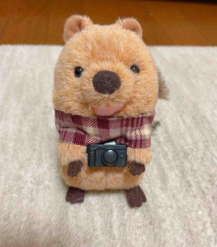 主がカメラをくれたの！
これでしゃしんをたくさんとる📷