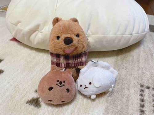 お友だちたくさんふえたの！
みたらしと似てる子はつぶあんちゃんで
白い子は焼ちゃおさん！