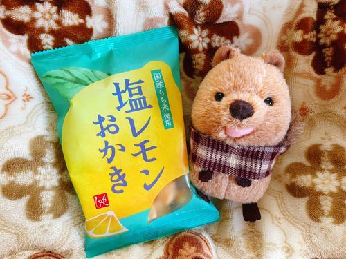 主の好きなお菓子らし。
やみつきになるあじらし…きになる