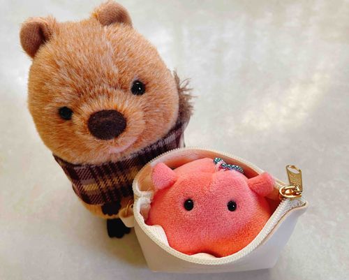 今日から主のお仕事のおともをするめんだこのめむちゃん。
主のことよろしくなの！