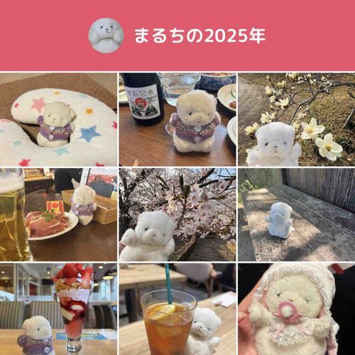 いろんな場所にあそびにいったね！ らいねんはどんな景色がみえるかな〜！
