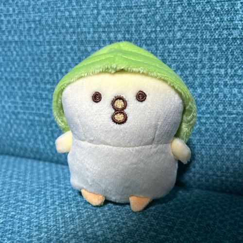 はじめまして！
ぼくちゃんです🐥