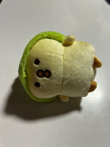 ぼくちゃん暑すぎて夏乗り越えれるかなぁ、、