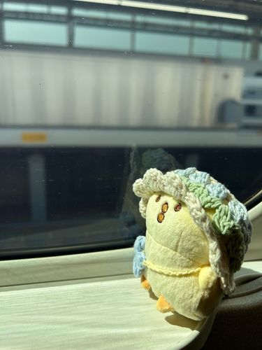 ぼくちゃん新幹線の旅