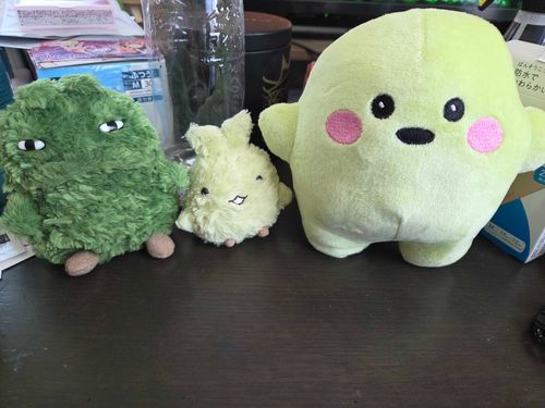 おっきいサーキュラーちゃんがうちにきたよ！
キッコロと同じ色だね！