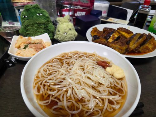 ひやむぎ食べたかったんだー！！
高級なクックドゥのまーぼーなすもおいしかった！！
