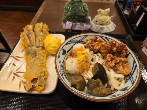 おにおろしとりからぶっかけ？だよー！！おいしい！
なすのてんぷらもおつきいね！