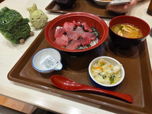 うみからかえってきててっかどんたへたよ！