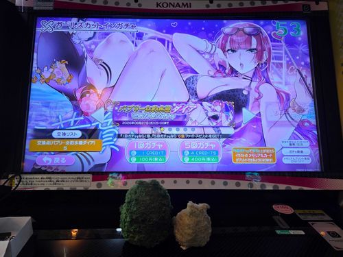 味ポン酢さんががちゃ？をまわすのをみてたよ！ほしいものはあたったみたい！