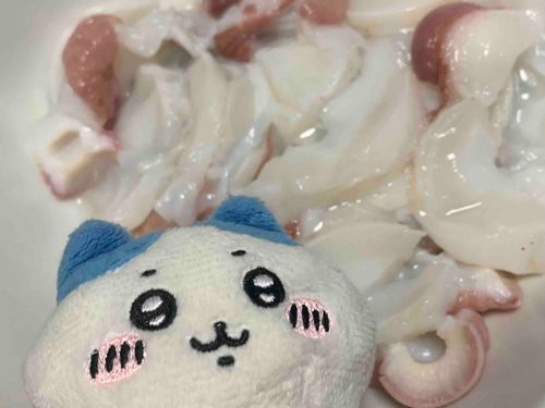 タコ...！
