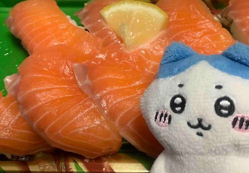 サーモンハチ