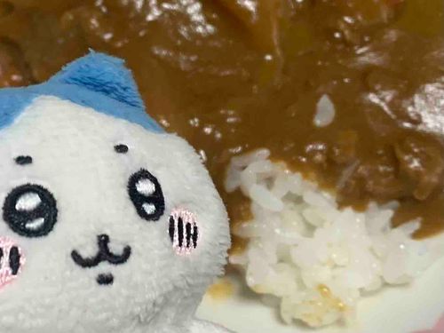 また撮る前に食べちゃった....