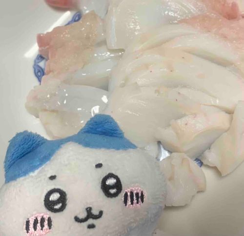 またタコ！