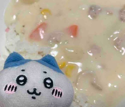 お久しぶりです！シチュー