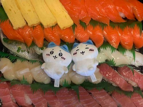 すごいお寿司！