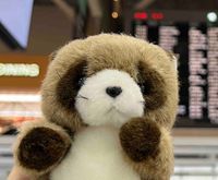 ぽんぽこ たぬきち