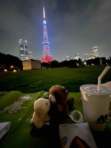 お友達のフローベルと熱い夜を過ごすたぬ