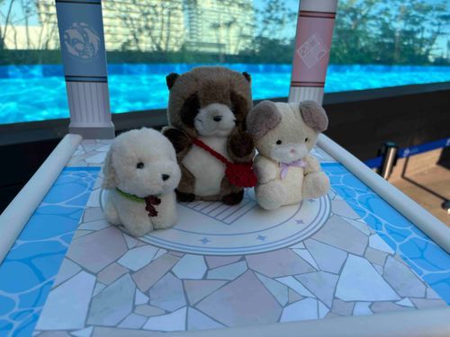 お友達と水族館にいったぬ
