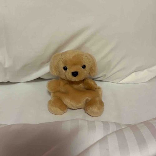 よくねた…おはようせかい