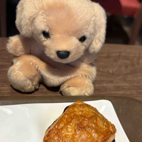 おはよー☀️
ぱんおしょこら…