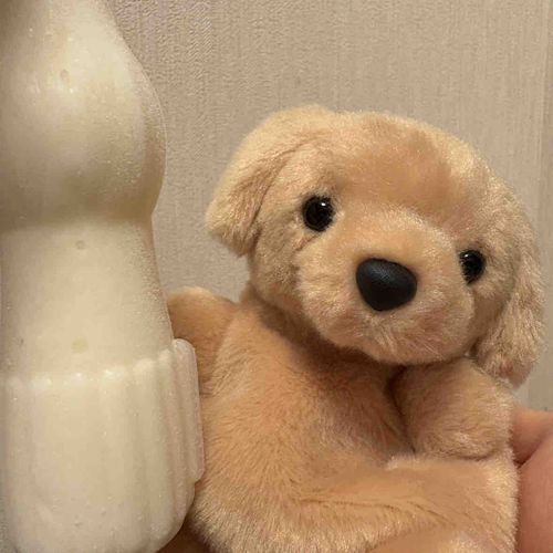ぱぴこたべるよ〜🍨
つめたくてもちにくいんだ！