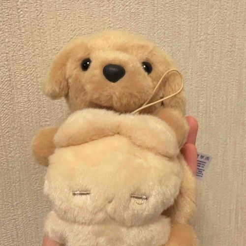 じゃじゃーん！あたらしいなかま！
うさぎのねむちゃんがきたよ〜！
ふわふわでかわいいの！