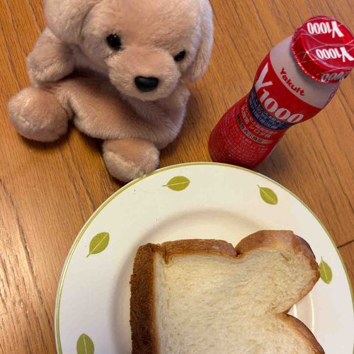 みんな、ひさしぶりだよ〜
主が忙しくてぜんぜんかまってくれないんだ。朝ごはんご一緒するよ〜🐶