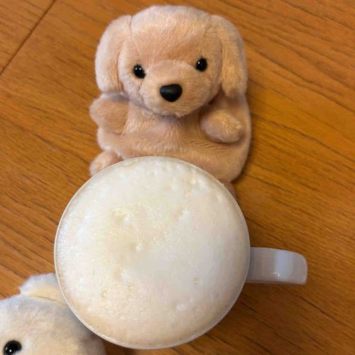 な、な、なんだこれはーーー！！！！☕️