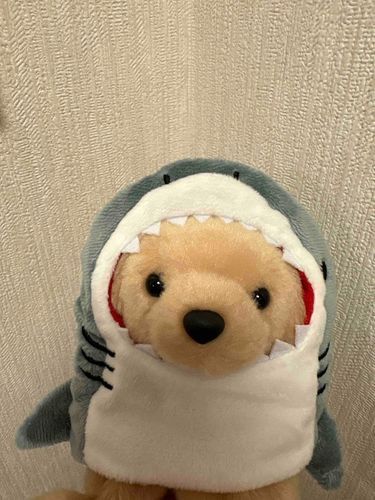 おひさしぶりです。うみに行ってました。さかな、たくさんでした。