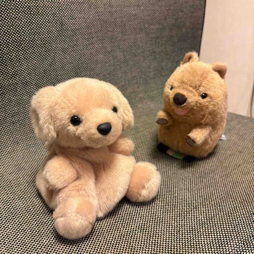 か、かいぬし、なんかふえてる！！！！いぬじゃない！！！！わらってる！！！