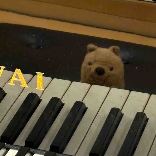 ぴあのだ…わあ…